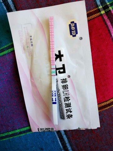 journal_insert_pic_407323434