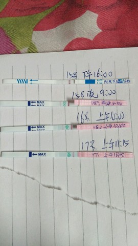 journal_insert_pic_407545361