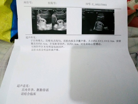 journal_insert_pic_407732638