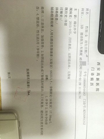 journal_insert_pic_407322620