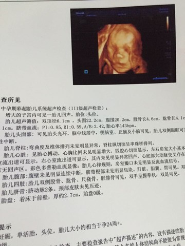 journal_insert_pic_408501121