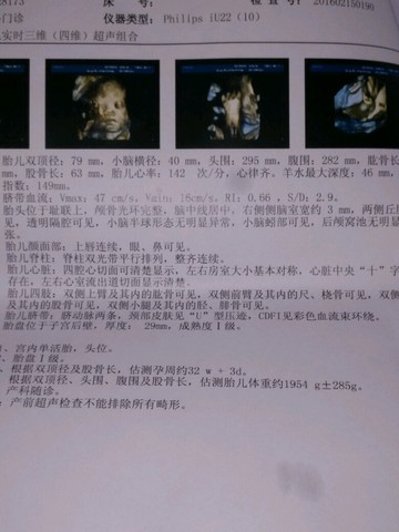 journal_insert_pic_408168543