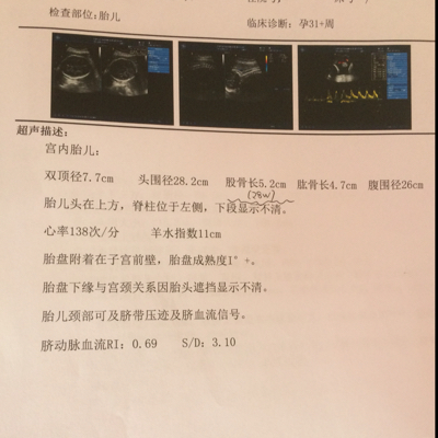 journal_insert_pic_408682307
