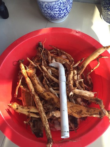 journal_insert_pic_408773487