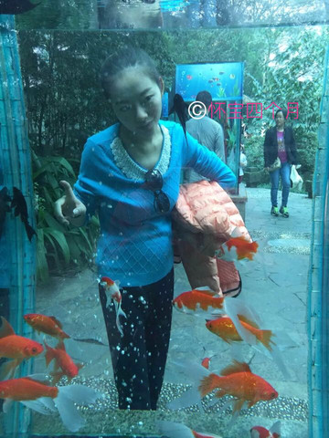journal_insert_pic_409980506
