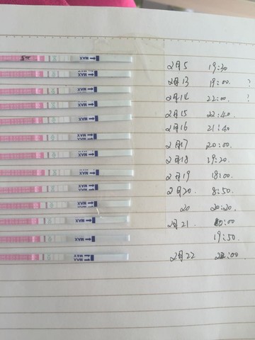 journal_insert_pic_411349757