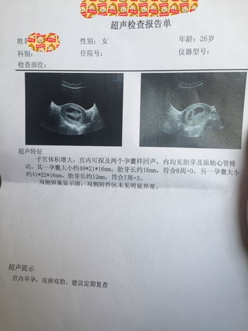 journal_insert_pic_411654350