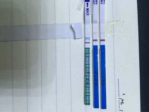 journal_insert_pic_412302926