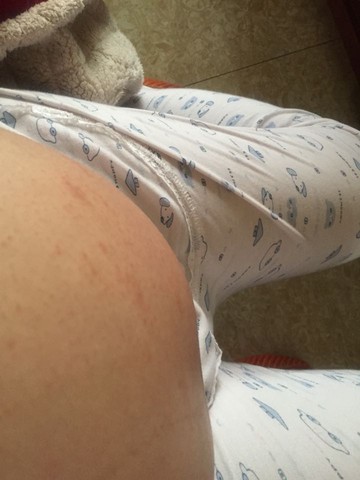 journal_insert_pic_412472089