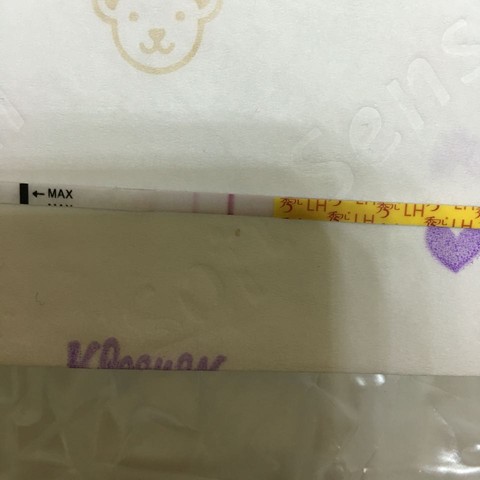 journal_insert_pic_413064276