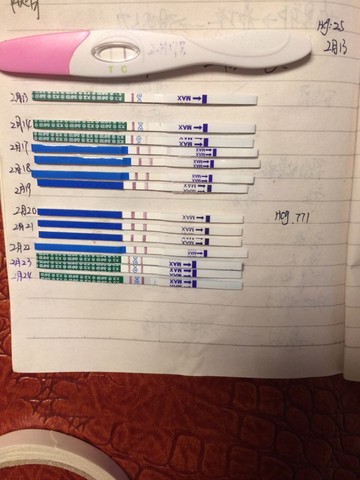 journal_insert_pic_413044552