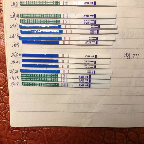 journal_insert_pic_413044576