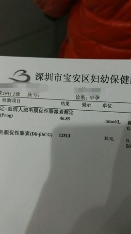 journal_insert_pic_413559001