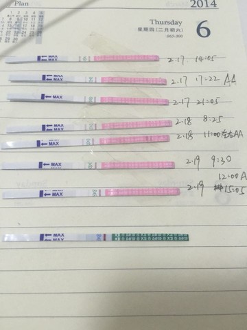journal_insert_pic_415143834