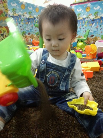 journal_insert_pic_415102092