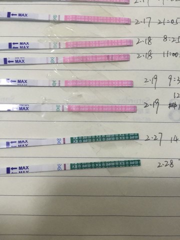 journal_insert_pic_415143858