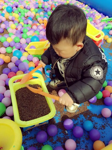 journal_insert_pic_415716469