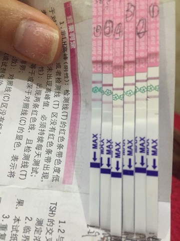 journal_insert_pic_416084750