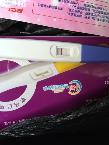 journal_insert_pic_417105543
