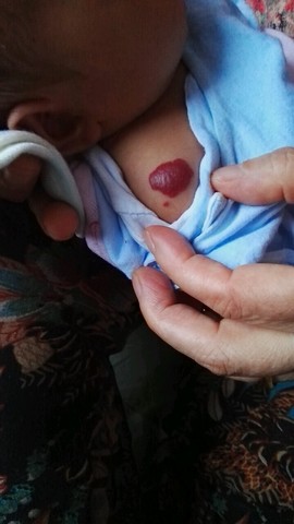 journal_insert_pic_418058944