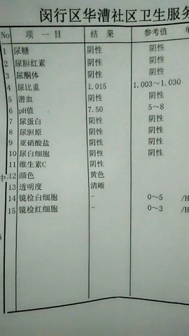 journal_insert_pic_419030230
