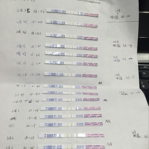 journal_insert_pic_419137990