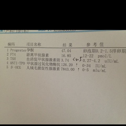 journal_insert_pic_419524514