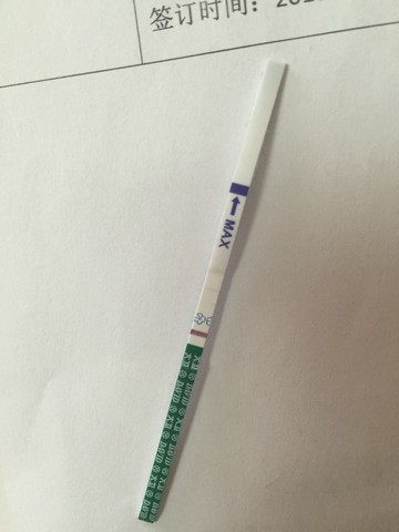 journal_insert_pic_420131523