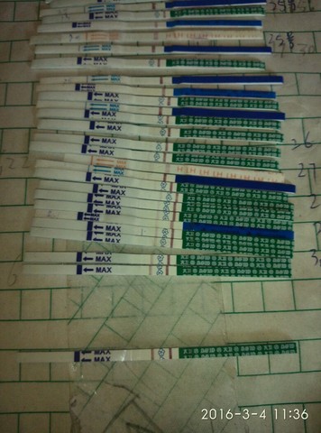 journal_insert_pic_420011385