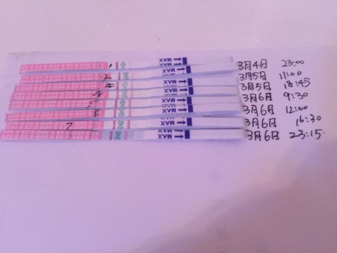 journal_insert_pic_420565055