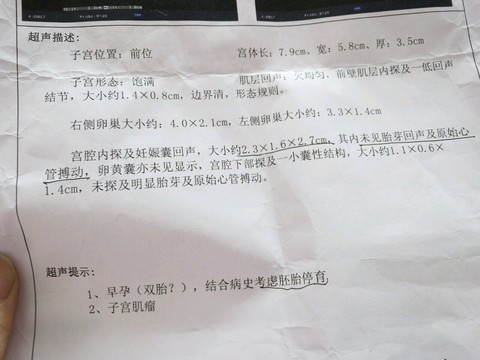 journal_insert_pic_420206375