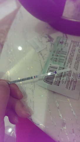journal_insert_pic_420999351