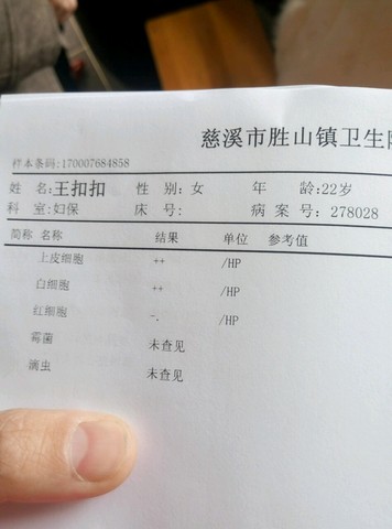 journal_insert_pic_421225091