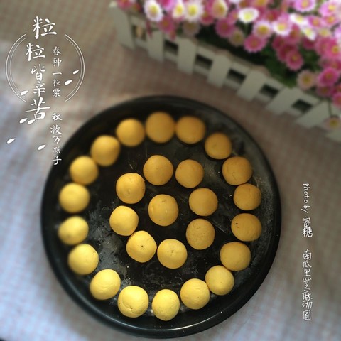 journal_insert_pic_420697907