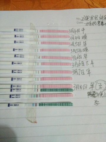 journal_insert_pic_421925842
