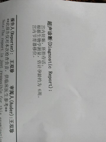 journal_insert_pic_421876519