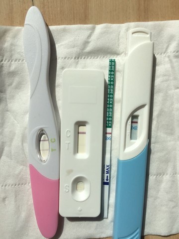 journal_insert_pic_422308845