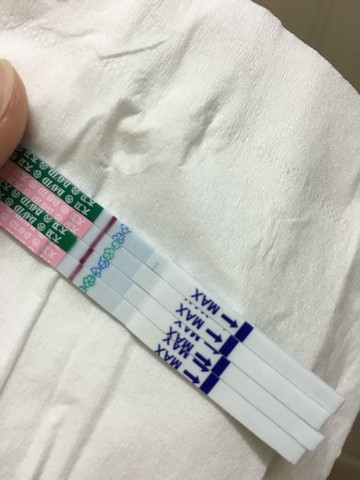 journal_insert_pic_423505368