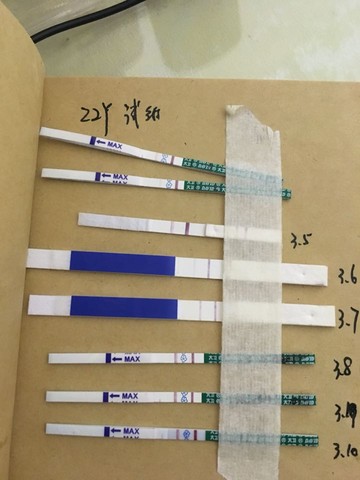 journal_insert_pic_423406347