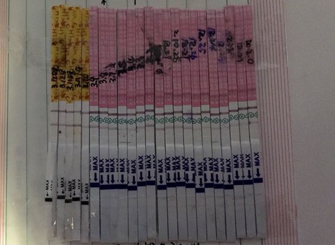journal_insert_pic_425386329