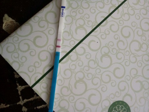 journal_insert_pic_425888517