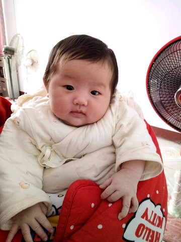 journal_insert_pic_425820540