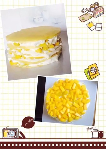 journal_insert_pic_426293064