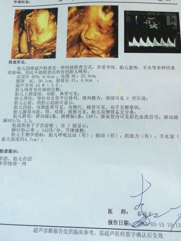 journal_insert_pic_426888108