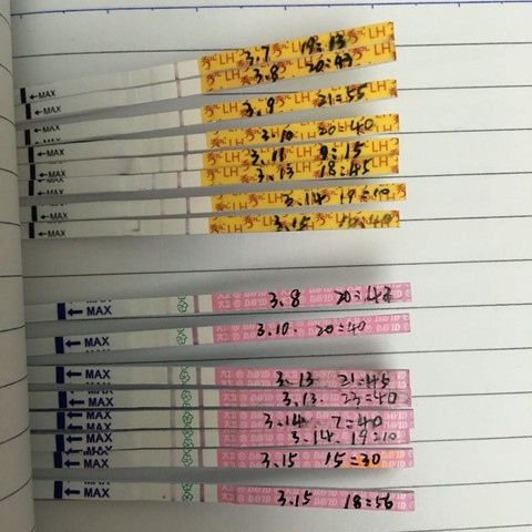 journal_insert_pic_426949637