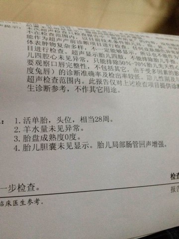 journal_insert_pic_426545380