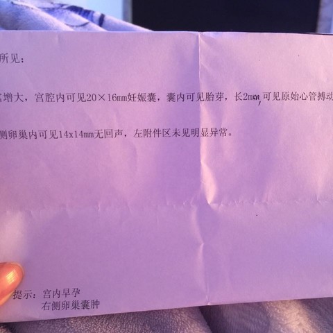 journal_insert_pic_426680802