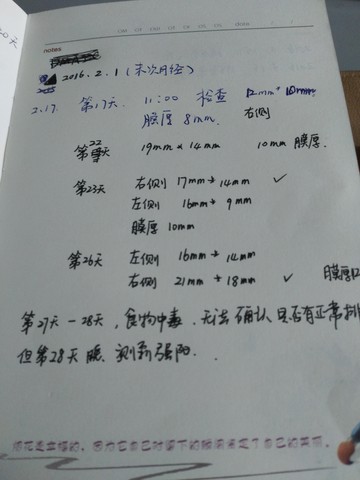 journal_insert_pic_427268080