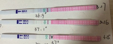 journal_insert_pic_428466414