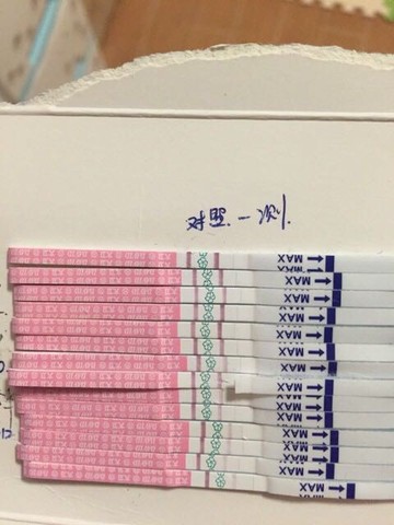 journal_insert_pic_429786088